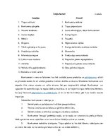 Prakses atskaite 'Kvalifikācijas prakses atskaite', 23.