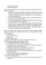 Konspekts 'Daugavpils attīstības vīzija', 4.