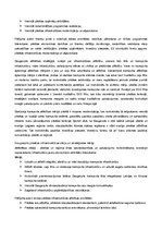 Konspekts 'Daugavpils attīstības vīzija', 5.