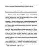 Referāts 'Tiesību normu iztulkošanas pamatveidi', 10.