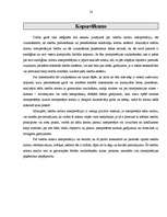 Referāts 'Tiesību normu iztulkošanas pamatveidi', 16.