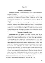 Konspekts 'Starptautiskā tirdzniecība globālajā pasaulē', 2.