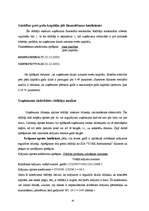 Prakses atskaite 'Finanšu analīze', 16.