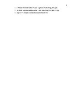 Konspekts 'Adaptācija', 8.