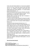 Referāts 'Kompānijas mārketinga komunikāciju plāns', 7.