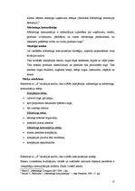 Referāts 'Kompānijas mārketinga komunikāciju plāns', 12.