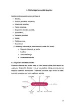 Referāts 'Kompānijas mārketinga komunikāciju plāns', 14.