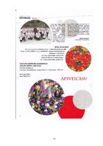 Referāts 'Corporate Cultural Analysis of Ltd. "Veolia vides serviss"', 16.