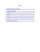 Konspekts 'Klasiskā Sanktpēterburga', 2.