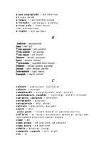 Konspekts 'Mūzikas terminu vārdnīca', 3.