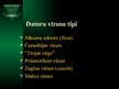 Prezentācija 'Datoru vīrusi', 3.
