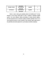 Biznesa plāns 'Apdrošināšanas akciju sabiedrība "Vazzanna"', 16.