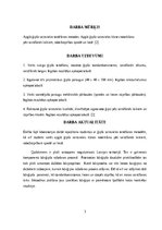 Referāts 'Būvģipsis', 3.