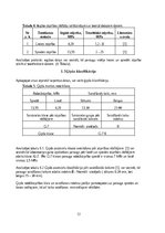 Referāts 'Būvģipsis', 12.