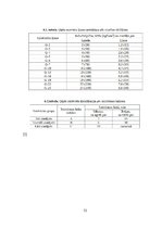 Referāts 'Būvģipsis', 13.