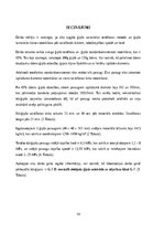 Referāts 'Būvģipsis', 14.