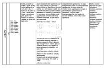 Konspekts 'Ogļūdeņraži', 3.