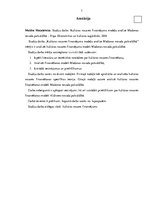 Referāts 'Kultūras nozares finansējuma modeļa analīze Madonas novada pašvaldībā', 3.