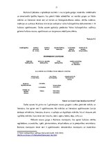 Referāts 'Kultūras nozares finansējuma modeļa analīze Madonas novada pašvaldībā', 11.