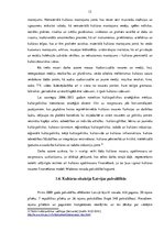 Referāts 'Kultūras nozares finansējuma modeļa analīze Madonas novada pašvaldībā', 12.