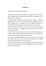 Referāts 'Kultūras nozares finansējuma modeļa analīze Madonas novada pašvaldībā', 26.