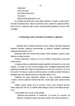 Referāts 'Tirgvedības pasākumu plānošana tirdzniecības uzņēmumā', 12.