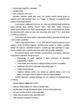 Referāts 'Tirgvedības pasākumu plānošana tirdzniecības uzņēmumā', 20.