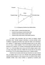 Diplomdarbs 'Augstsprieguma līdzstrāvas tehnoloģijas elektroenerģētikā', 33.