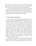 Referāts 'Bauskas Kultūras centra identitātes maiņas process stratēģiskajā plānošanā', 8.