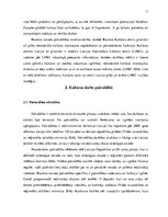 Referāts 'Bauskas Kultūras centra identitātes maiņas process stratēģiskajā plānošanā', 11.