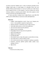 Referāts 'Bauskas Kultūras centra identitātes maiņas process stratēģiskajā plānošanā', 24.