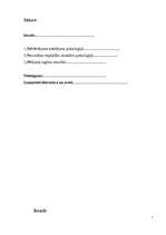 Referāts 'Sieviete un rotas', 2.