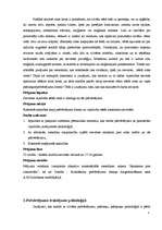 Referāts 'Sieviete un rotas', 3.