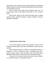 Referāts 'Sieviete un rotas', 9.