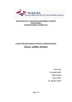 Referāts 'Satura vadības sistēmu Joomla! un Mambo salīdzinājums', 1.