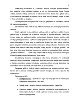 Prakses atskaite 'SIA "X" prakses atskaite', 6.