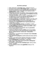 Konspekts 'Īpatnējie salikteņi un deminutīvi', 1.