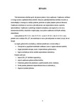 Prakses atskaite 'Prakses pārskats grāmatvedībā', 4.