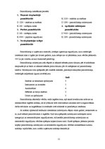 Prakses atskaite 'Prakses pārskats grāmatvedībā', 12.