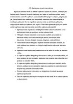 Prakses atskaite 'Prakses pārskats grāmatvedībā', 13.