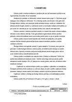 Prakses atskaite 'Prakses pārskats grāmatvedībā', 16.