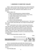 Prakses atskaite 'Prakses pārskats grāmatvedībā', 25.