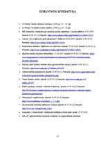 Prakses atskaite 'Prakses pārskats grāmatvedībā', 35.