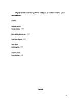 Konspekts 'Tēlainās izteiksmes līdzekļi', 6.