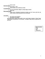 Paraugs 'Aprūpes plāns ķirurģijā', 3.