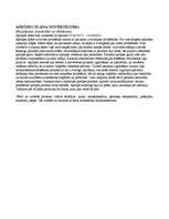 Paraugs 'Aprūpes plāns ķirurģijā', 21.