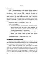 Konspekts 'Kultūra', 1.