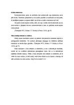 Konspekts 'Kultūra', 4.