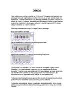 Konspekts 'Ozons', 1.