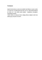 Referāts 'Kultūras definīcijas', 5.